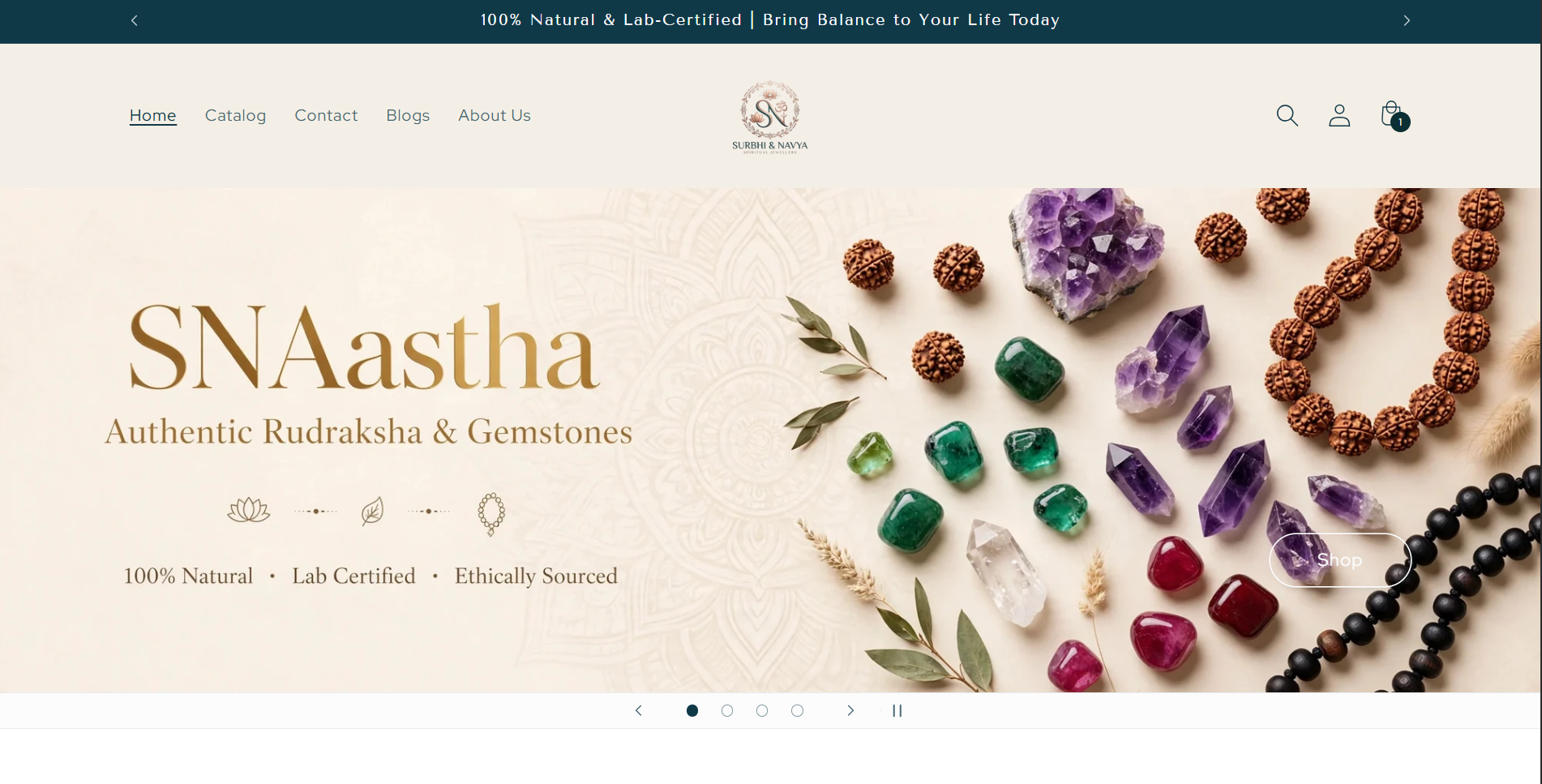 Snaastha website preview