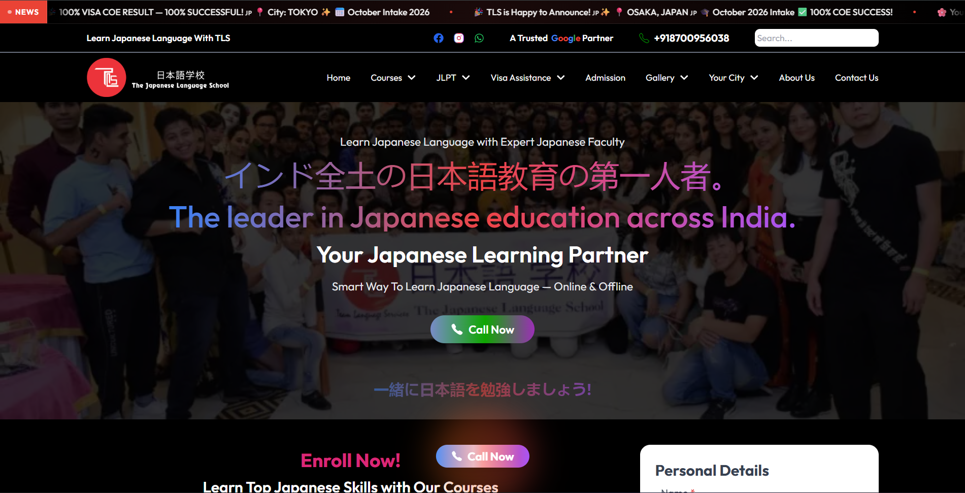 Team Languages website preview